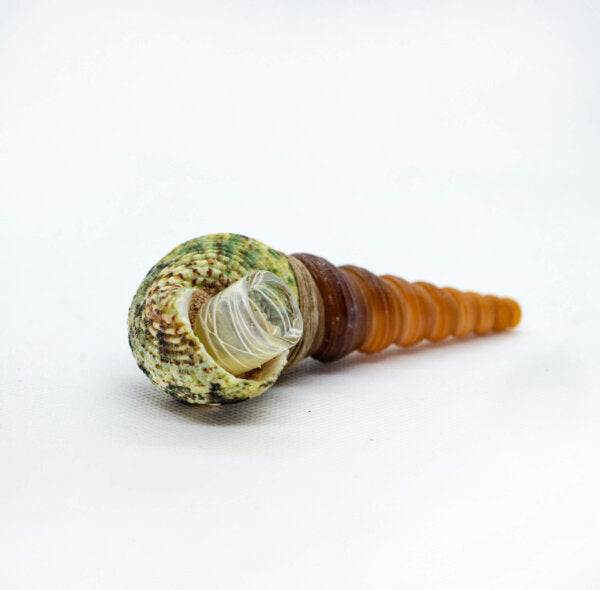 Green Seashell Pipe 